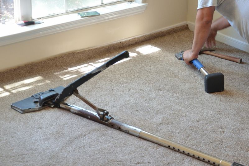 Optimal Seasons for Carpet Removal